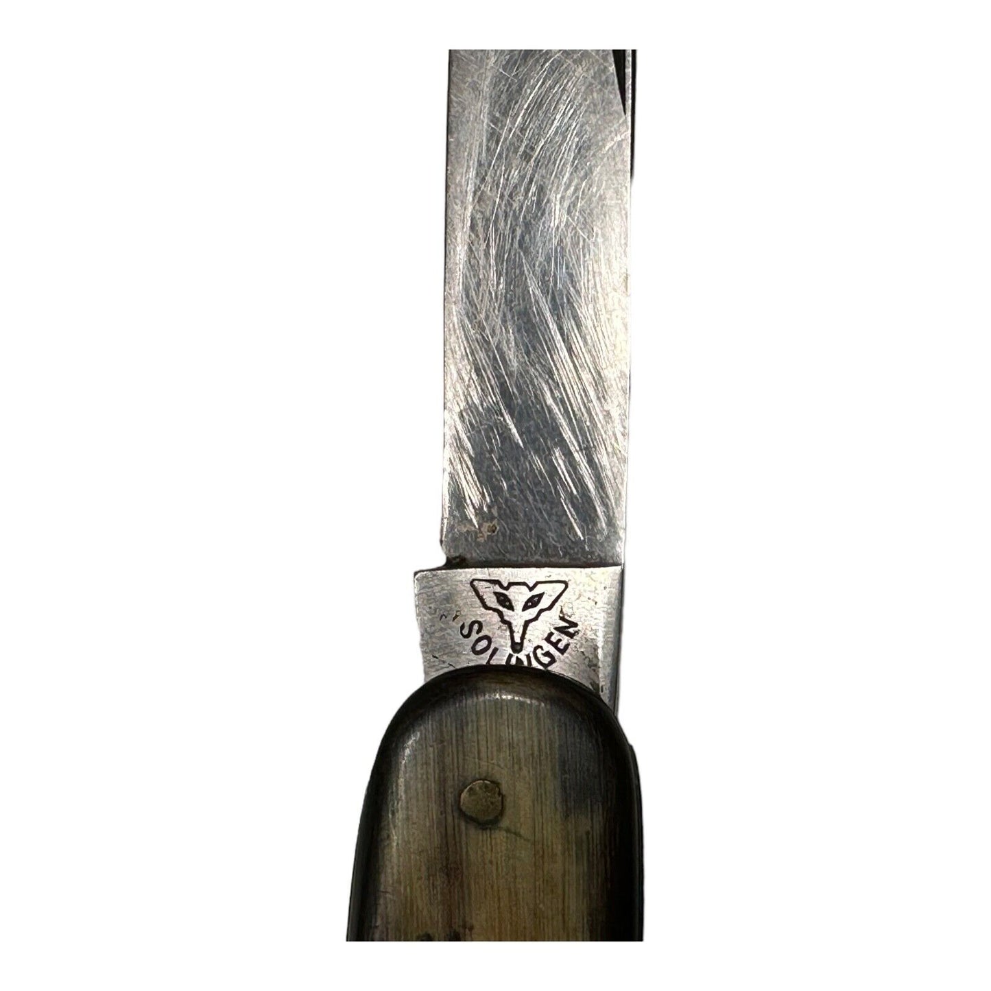 Solingen pocket knife double blade with corkscrew Germany horn handle