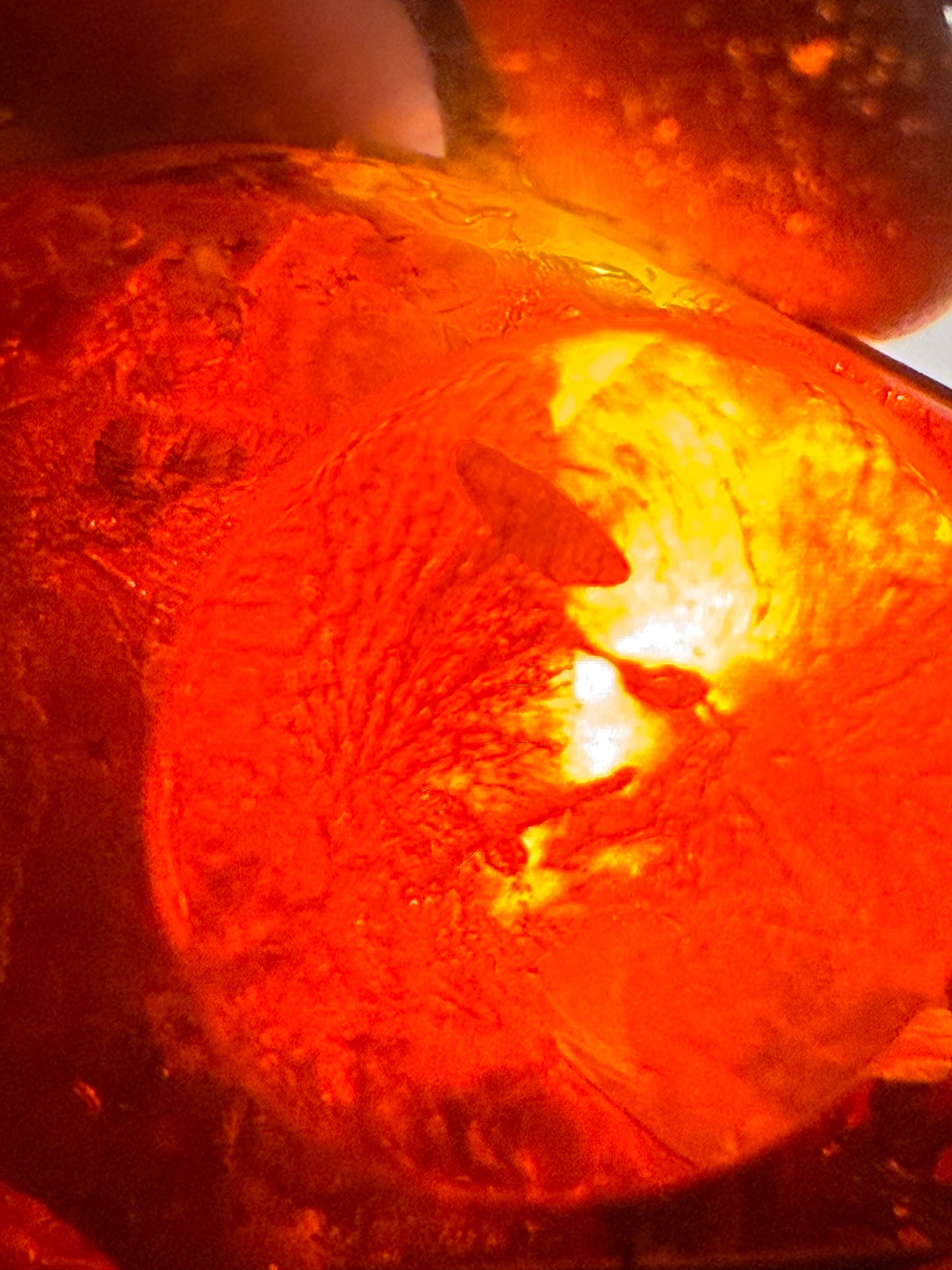 Museum Size Baltic Amber Pendant 105 g Natural Inclusions Sterling Silver 925 Rare Collector Specimen
